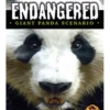 Endangered: Giant Panda Module 2 Endangered: Giant Panda Module -999 Games Winkel endangered giant panda module